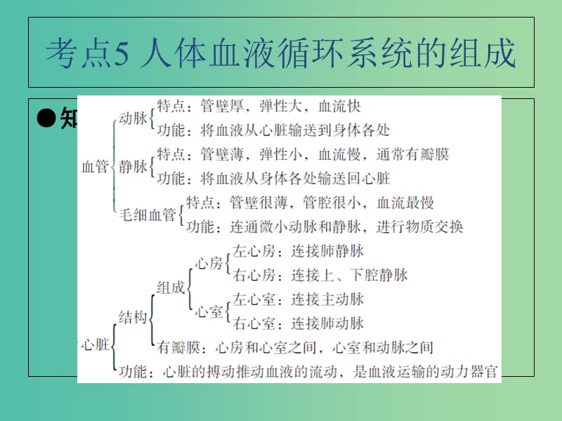 中考生物 第4单元 考点5 人体血液循环系统的组成课件 新人教版.ppt_第3页