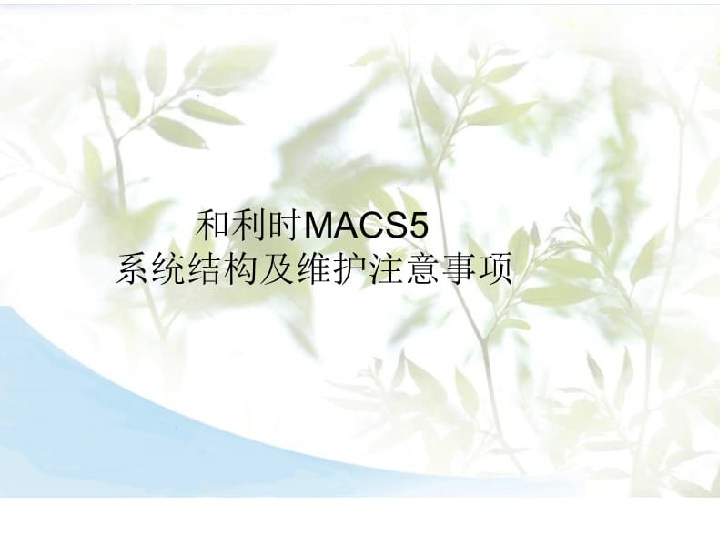 和利时MACSV系统结构及维护注意事项.ppt_第1页