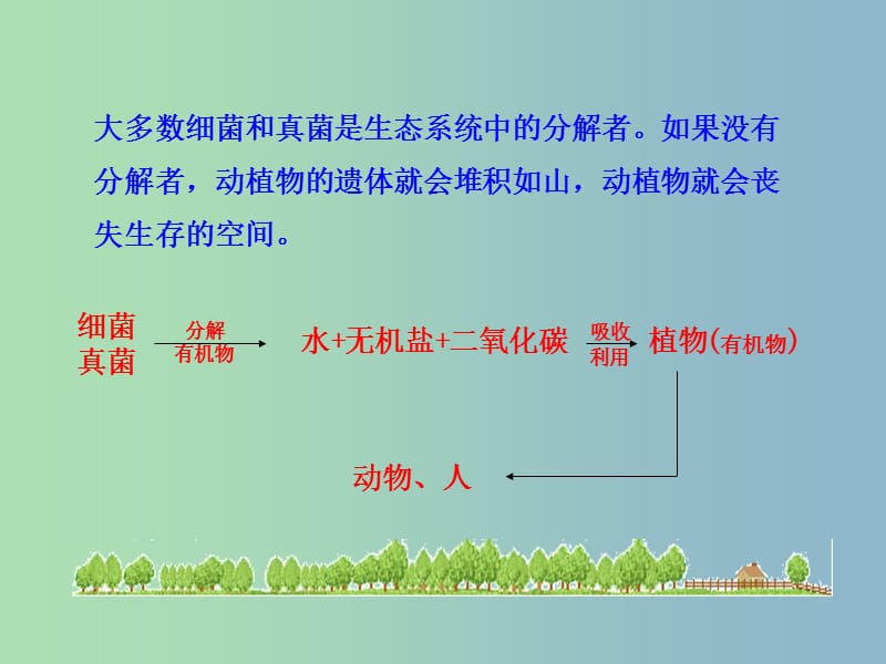 八年级生物上册 5.4.4 细菌和真菌在自然界中的作用课件 （新版）新人教版.ppt_第3页