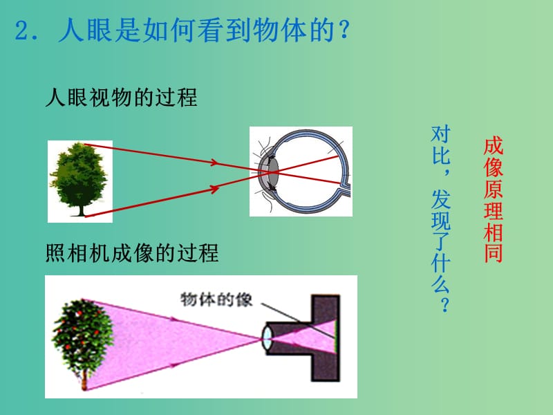 八年级物理上册 5.4 眼睛和眼镜课件 新人教版.ppt_第3页