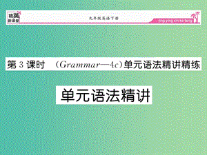 九年級(jí)英語(yǔ)全冊(cè) Unit 12 Life is full of the unexpected（第3課時(shí)）語(yǔ)法精講課件 （新版）人教新目標(biāo)版.ppt