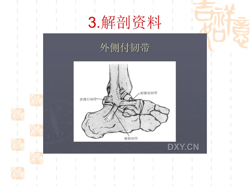 踝关节骨折脱位Lauge-hansen分型.ppt_第3页