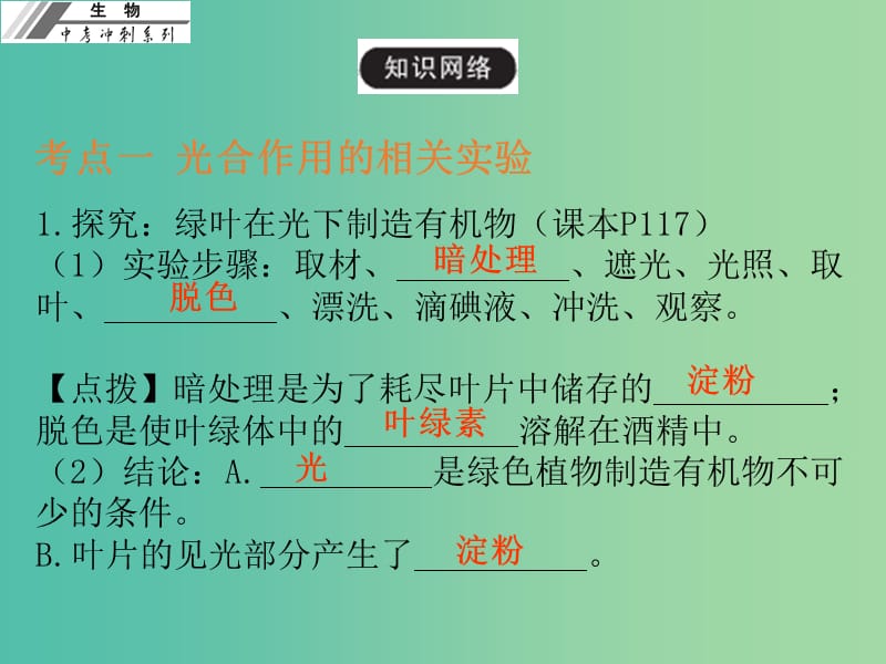 中考生物冲刺复习 基础梳理 第8章 绿色植物的光合作用课件 新人教版.ppt_第3页