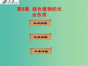 中考生物沖刺復習 基礎(chǔ)梳理 第8章 綠色植物的光合作用課件 新人教版.ppt