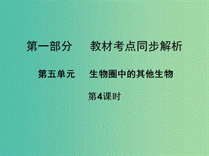 中考生物 第一部分 教材考點同步解析 第五單元 生物圈中的其他生物（第4課時）復(fù)習(xí)課件 新人教版.ppt