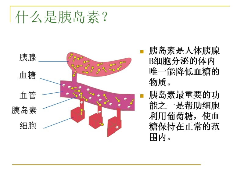 胰岛素的正确使用及注意事项.ppt_第3页