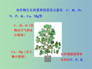 九年級(jí)化學(xué)下冊(cè) 第十一單元 課題2 化肥課件 新人教版.ppt