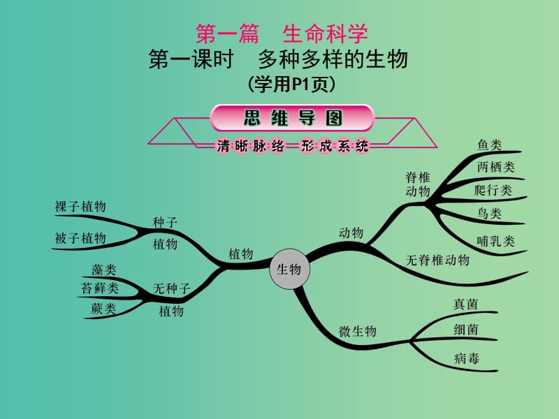 中考科学总复习 第1课时 多种多样的生物课件.ppt_第1页