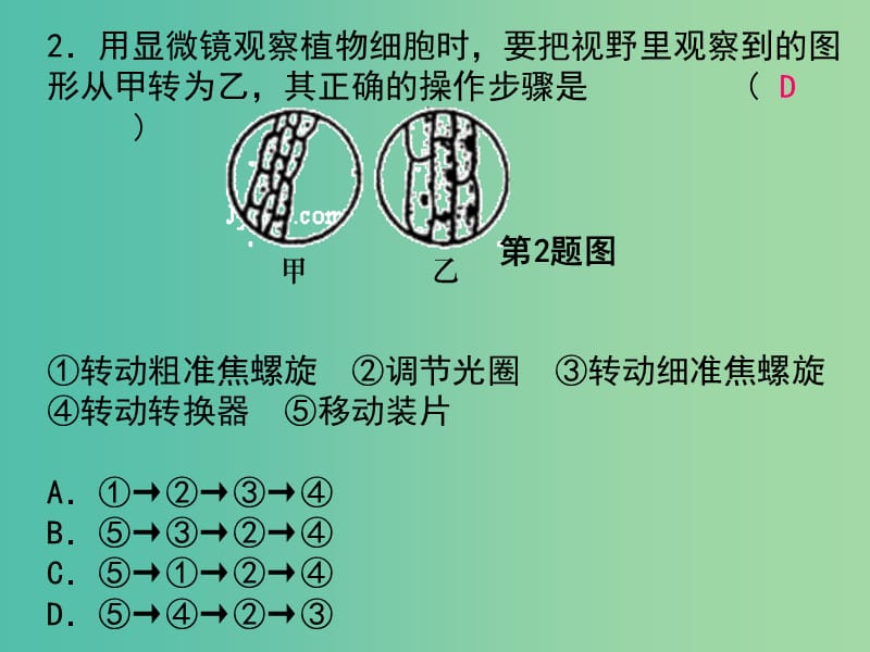 中考科学总复习 阶段检测1 生命科学综合练习（一）课件.ppt_第2页