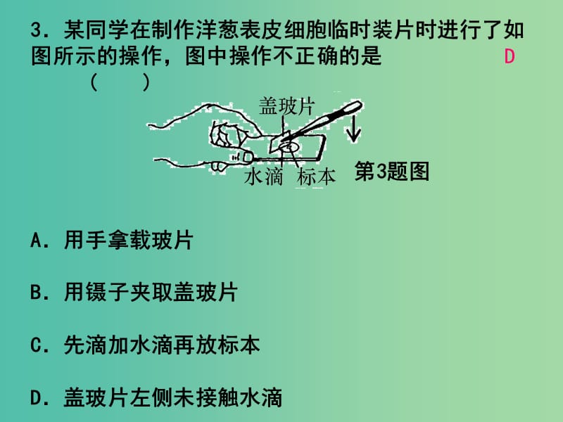 中考科学总复习 阶段检测1 生命科学综合练习（一）课件.ppt_第3页