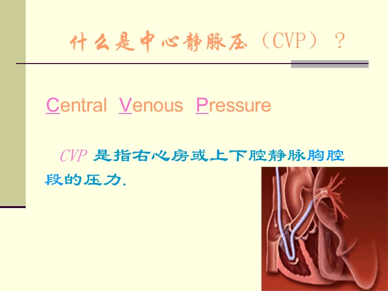 中心静脉压测定.ppt_第2页