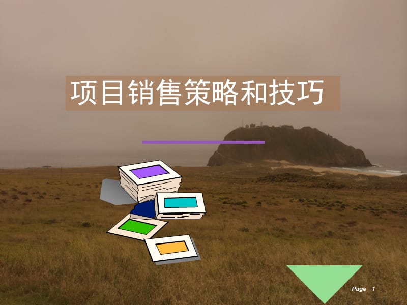 项目销售策略和技巧.ppt_第1页