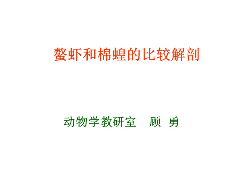 鳌虾和蝗虫的比较解剖.ppt_第1页