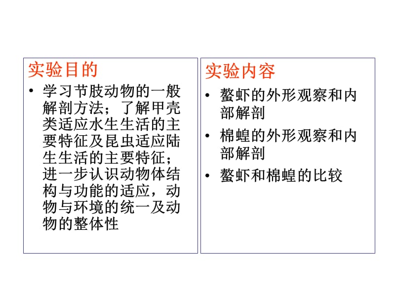 鳌虾和蝗虫的比较解剖.ppt_第2页