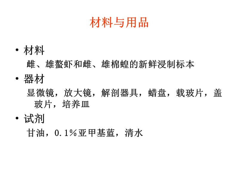 鳌虾和蝗虫的比较解剖.ppt_第3页