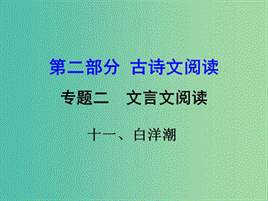 中考語(yǔ)文 第二部分 古詩(shī)文閱讀 專題二 文言文閱讀 11《白洋潮》復(fù)習(xí)課件.ppt