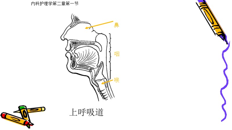 内科学护理呼吸系统常见症状.ppt_第3页