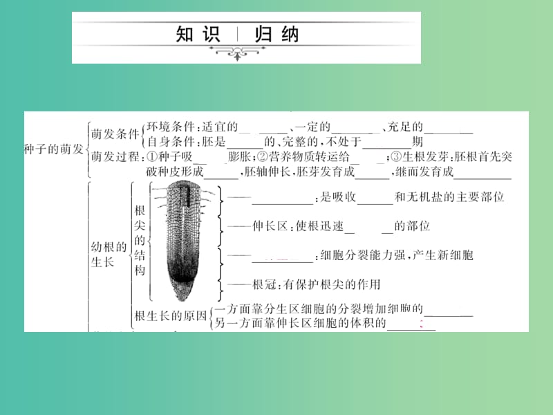 中考生物第一轮系统复习篇 第三单元 第二章 被子植物的一生课件.ppt_第2页