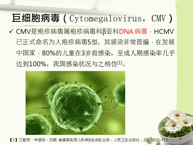 人巨细胞病毒感染.ppt_第2页