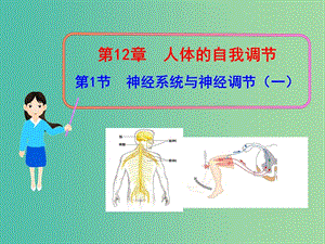 七年級生物下冊 第12章 第1節(jié)《神經(jīng)系統(tǒng)與神經(jīng)調(diào)節(jié)》（第1課時）課件 （新版）北師大版.ppt