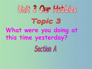 八年級英語上冊 Unit 3 Our Hobbies Topic 3 Section A課件 （新版）仁愛版.ppt