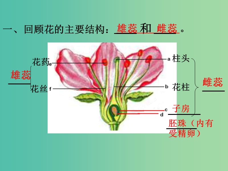 八年级生物下册 第二批教学能手评选 7.1.1 植物的生殖课件 （新版）新人教版.ppt_第3页