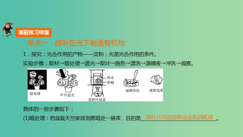 中考生物 第三单元 第八章 绿色植物是生物圈中有机物的制造者复习课件 新人教版.ppt_第1页