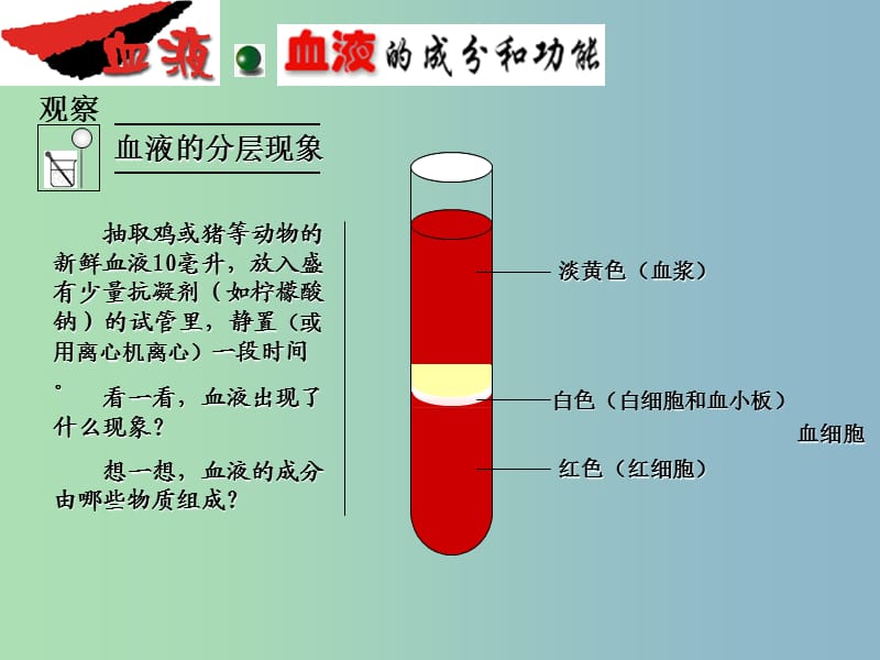 七年级生物下册 第四章 第一节 流动的组织─血液课件 新人教版.ppt_第3页