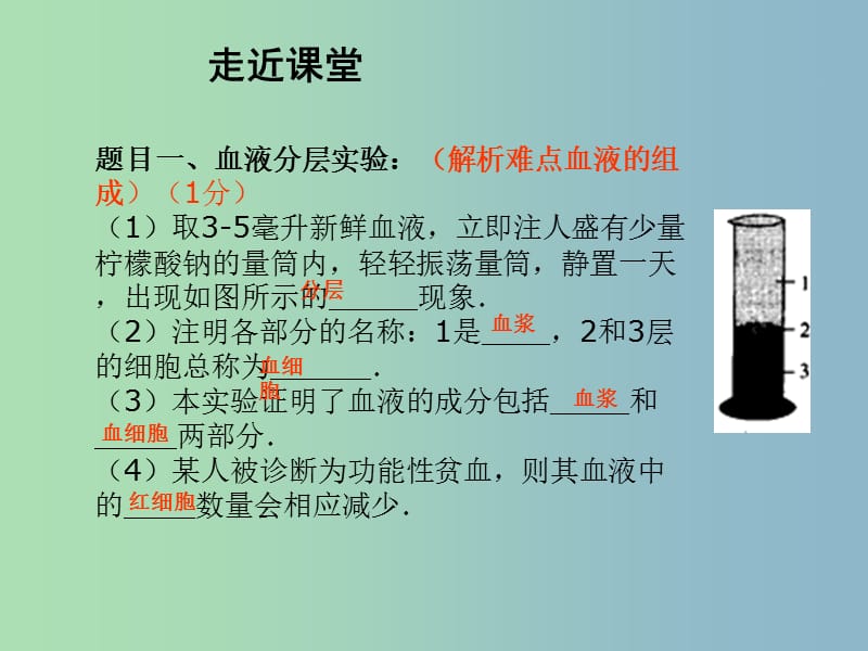 七年级生物下册 10.2 血液循环复习课件 （新版）苏教版.ppt_第2页