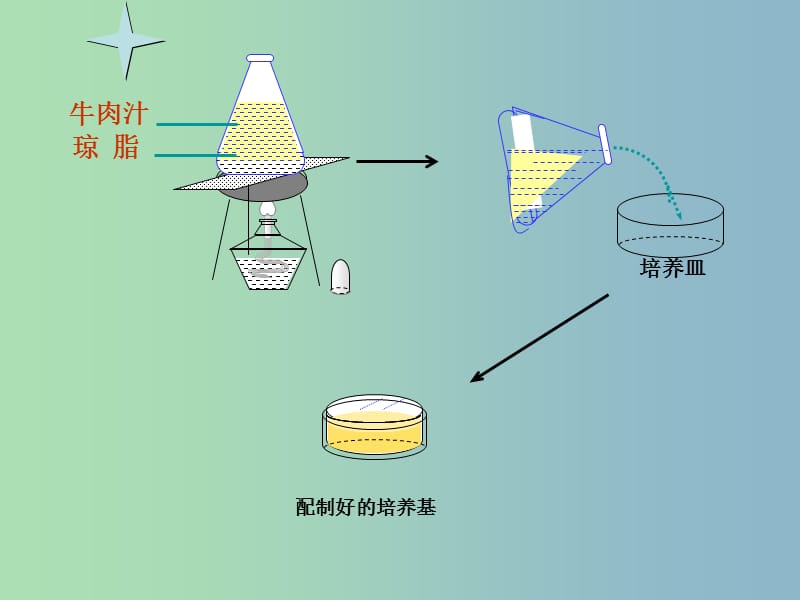 八年级生物上册 5.4.1 细菌和真菌的分布课件 （新版）新人教版.ppt_第1页