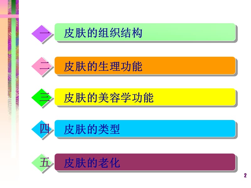 皮肤的生物学知识ppt课件_第2页