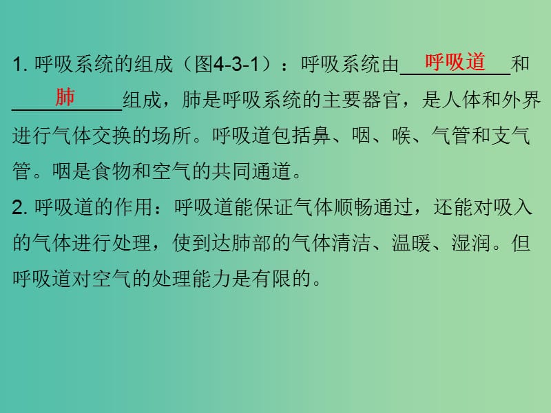 中考生物总复习 第四单元 第三章 人体的呼吸课件.ppt_第3页