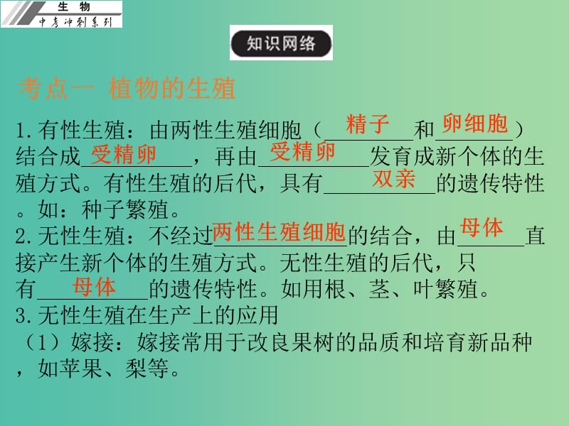 中考生物冲刺复习 基础梳理 第21章 生物的生殖和发育课件 新人教版.ppt_第3页