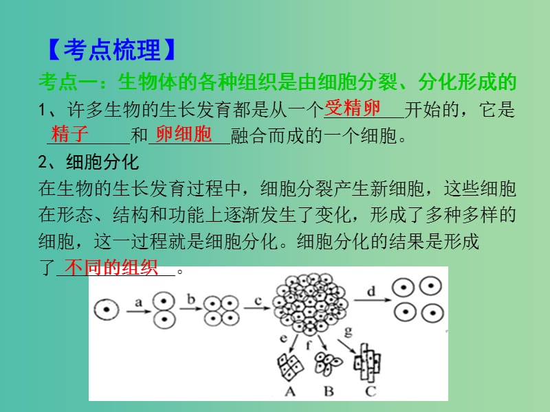 中考生物 考点梳理复习 第二单元 第四章 生物体的结构层次课件.ppt_第3页