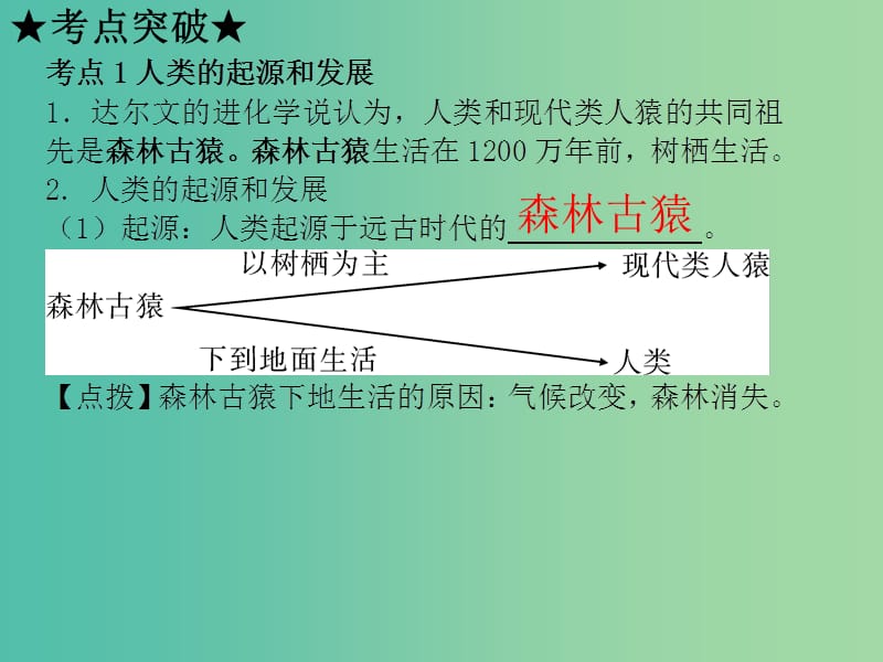 中考生物 第四单元 第一章 人的由来复习课件（考点突破+课堂检测+课后巩固）（新版）新人教版.ppt_第3页