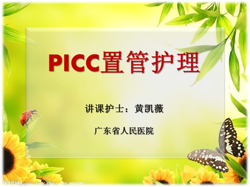 《picc置管护理》PPT课件.ppt_第1页