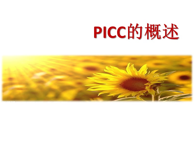 《picc置管护理》PPT课件.ppt_第3页