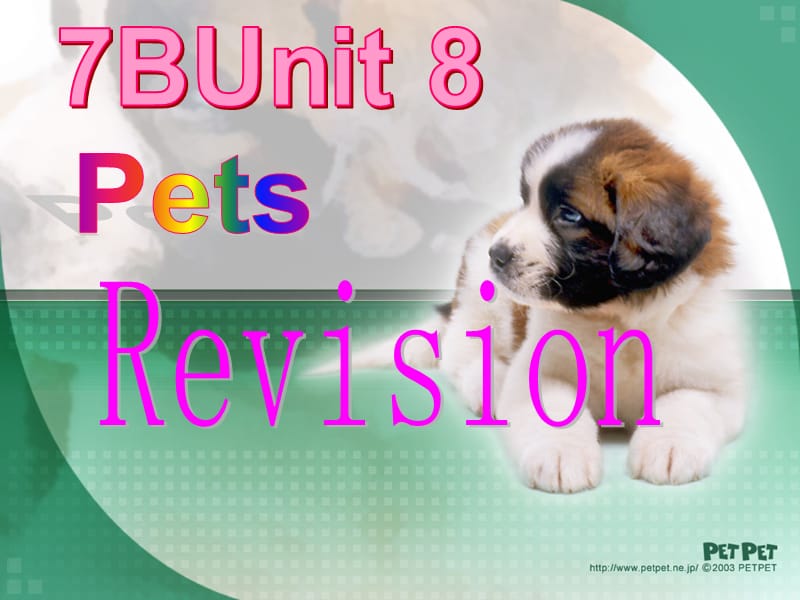 七年级英语下册 Unit 8 Pets revision课件 （新版）牛津版.ppt_第2页