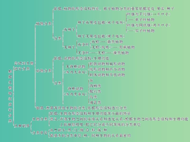 中考生物总复习 第六单元 第一章 根据生物的特征进行分类习题课件 新人教版.ppt_第3页