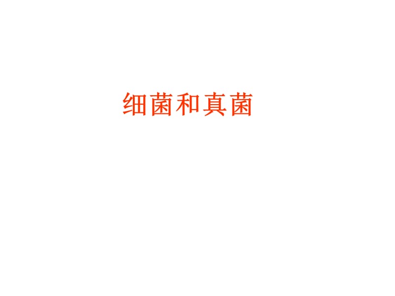 《细菌和真菌》PPT课件.ppt_第1页