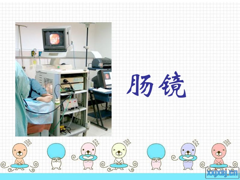 肠镜胃镜检查宣教.ppt_第2页