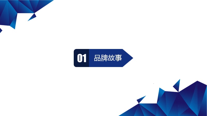 至多新品牌运营计划.ppt_第2页