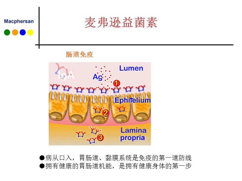 健康知识：麦弗逊益菌素.ppt_第2页