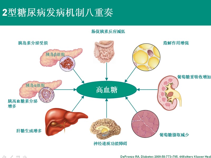 2型糖尿病口服药物合理使用_第2页