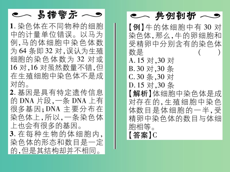 八年级生物下册 第七单元 第二章 第二节 基因在亲子代间的传递课件 （新版）新人教版.ppt_第3页