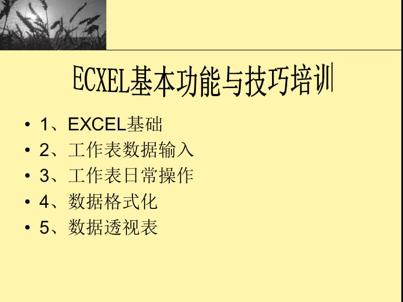 Excel基本功能与技巧培训.ppt_第1页