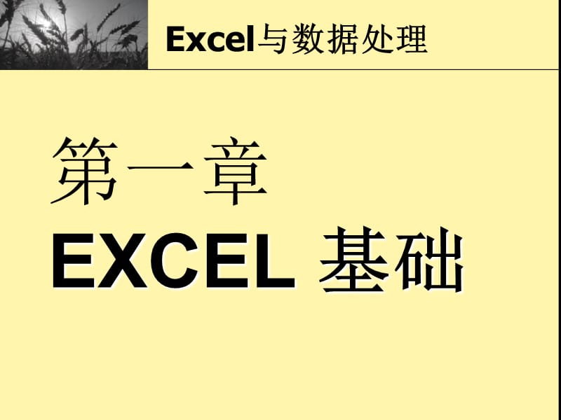 Excel基本功能与技巧培训.ppt_第2页