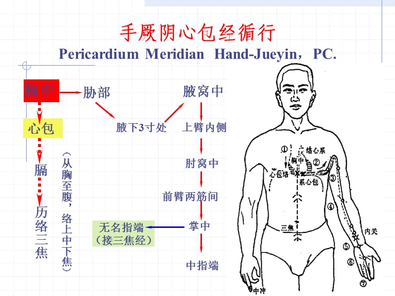 人体经络穴位图谱9心包经.ppt_第2页