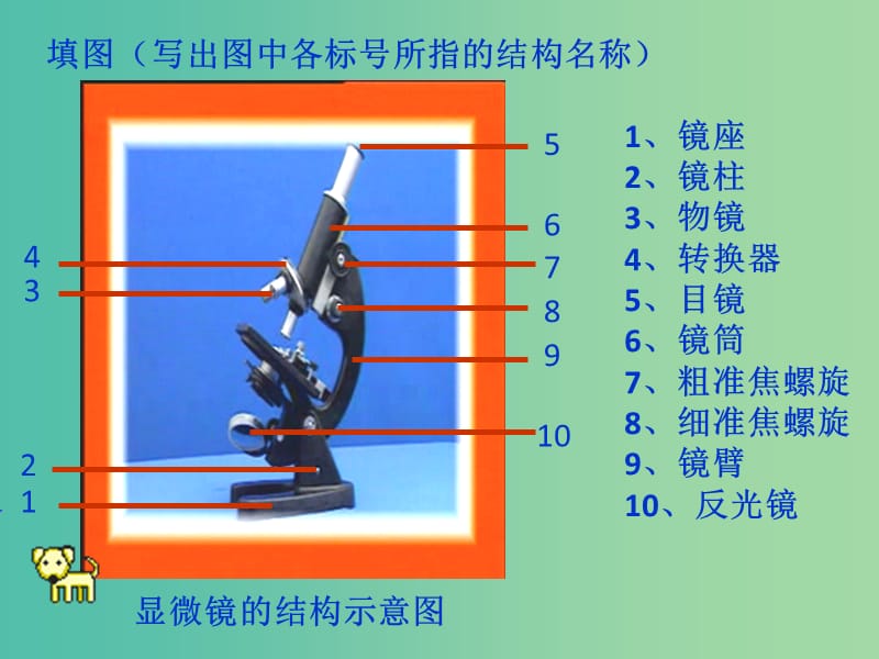 七年级生物上册 2.1.1 练习使用显微镜课件2 （新版）新人教版.ppt_第2页