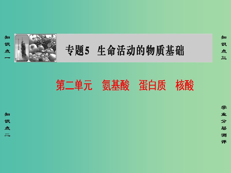 高中化学 专题5 生命活动的物质基础 第2单元 氨基酸 蛋白质 核酸课件 苏教版选修5.ppt_第1页